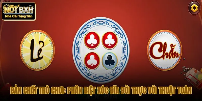 ban-chat-tro-choi-phan-biet-xoc-dia-doi-thuc-voi-thuat-toan