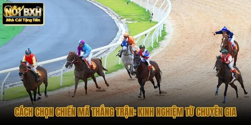 cach-chon-chien-ma-thang-tran-kinh-nghiem-tu-chuyen-gia