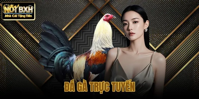 Đá gà trực tuyến