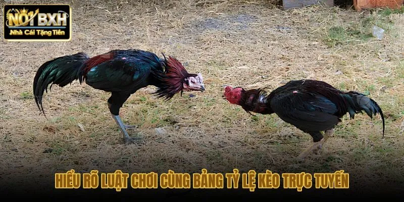 hieu-ro-luat-choi-cung-bang-ty-le-keo-truc-tuyen