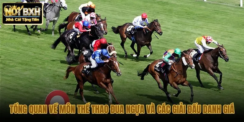 tong-quan-ve-mon-the-thao-dua-ngua-va-cac-giai-dau-danh-gia