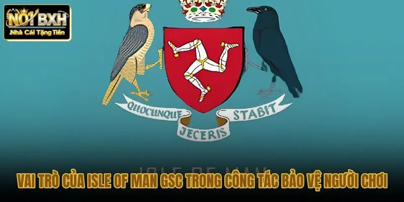 vai-tro-cua-isle-of-man-gsc-trong-cong-tac-bao-ve-nguoi-choi